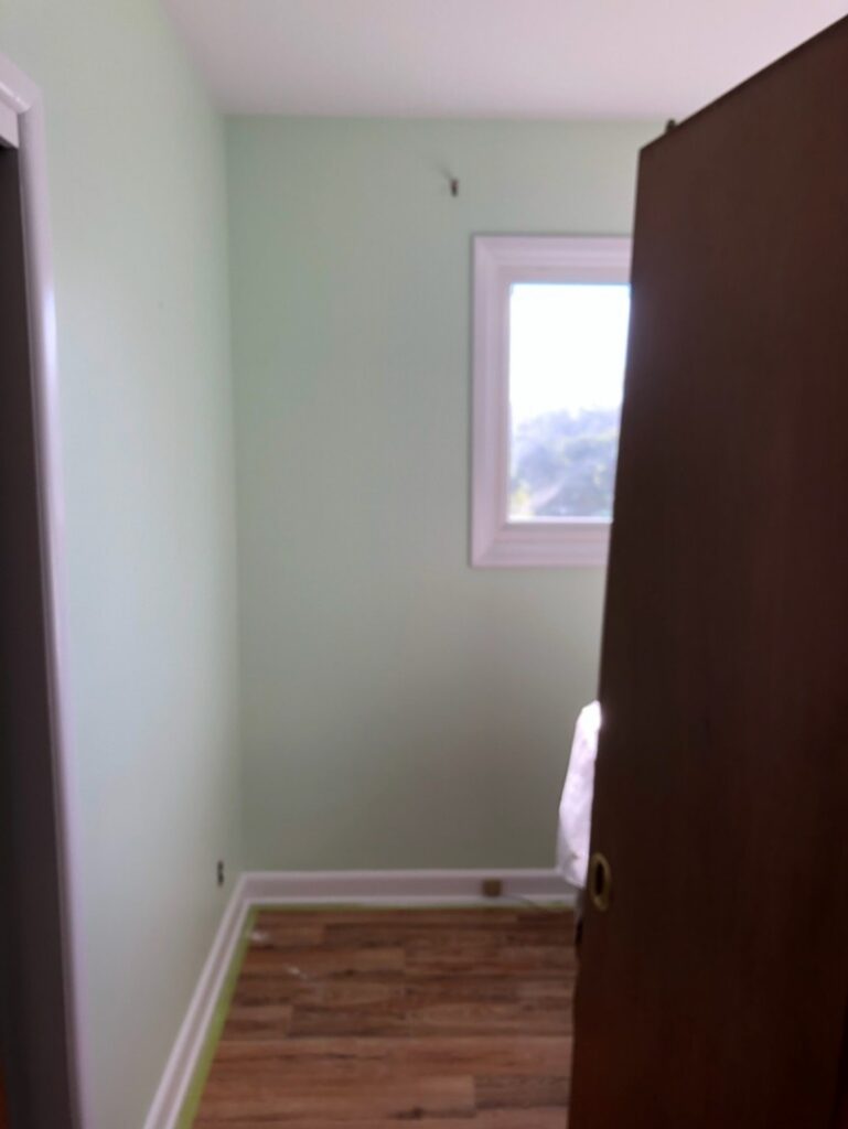 A freshly painted room in the colour green